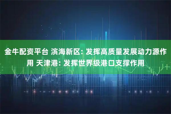金牛配资平台 滨海新区: 发挥高质量发展动力源作用 天津港: 发挥世界级港口支撑作用